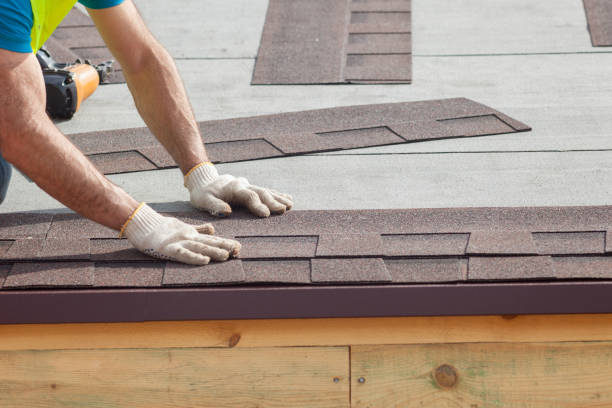 Best Roof Moss and Algae Removal  in Crosby, TX